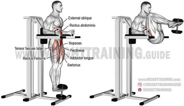 综合健身锻炼肌肉的正确方法,基础健身肌肉训练方法
