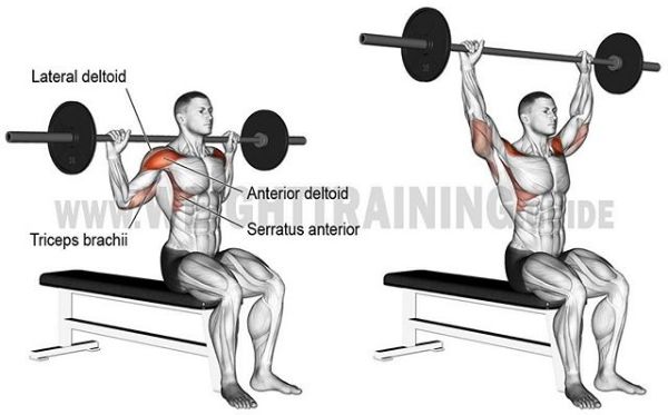 综合健身锻炼肌肉的正确方法,基础健身肌肉训练方法