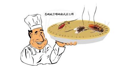 餐厅吃到苍蝇该怎么打电话投诉,服务区吃饭吃到苍蝇怎么解决