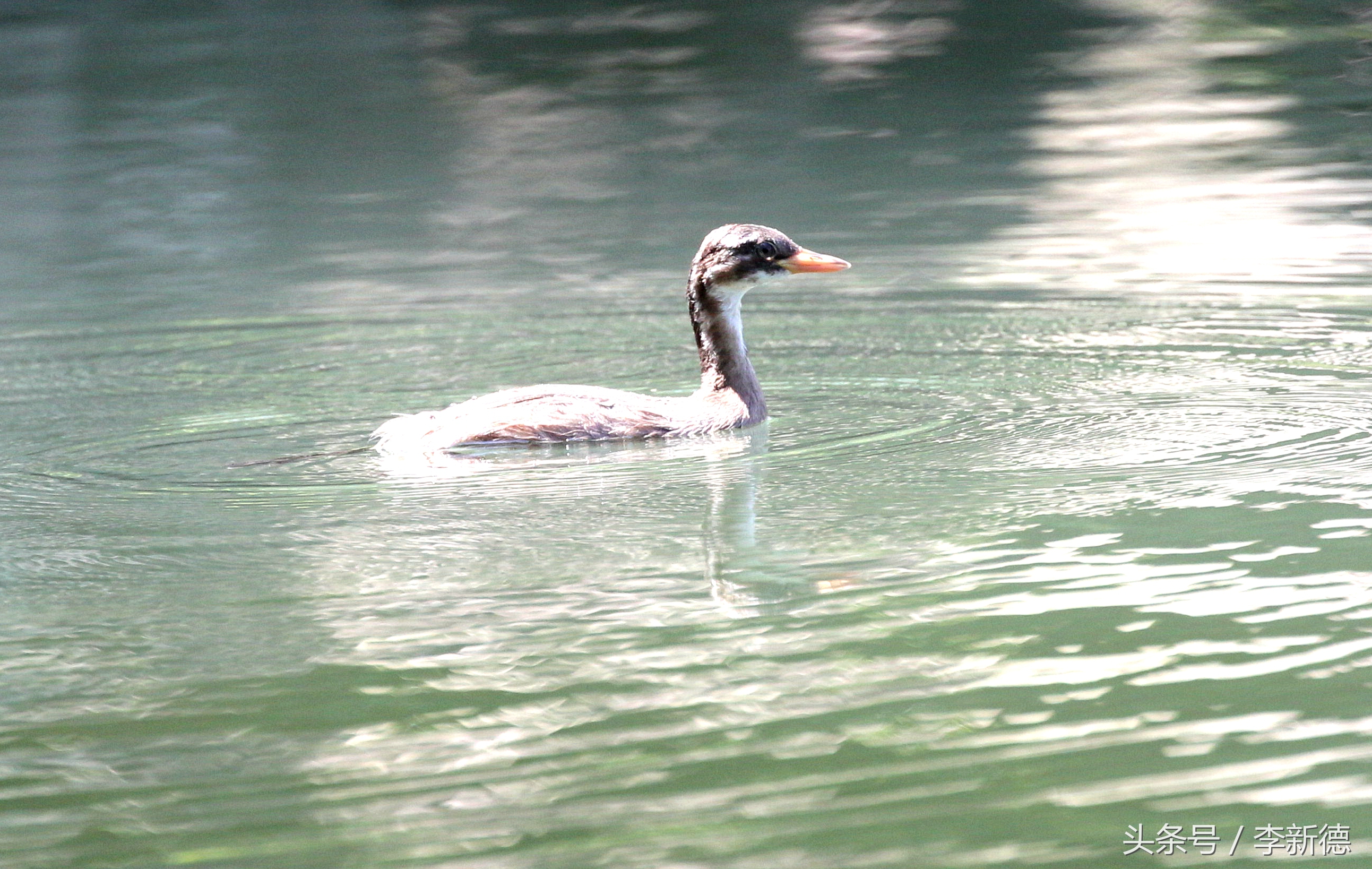 佳能5d3配24105镜头拍人像,佳能5d3501.8镜头拍合照