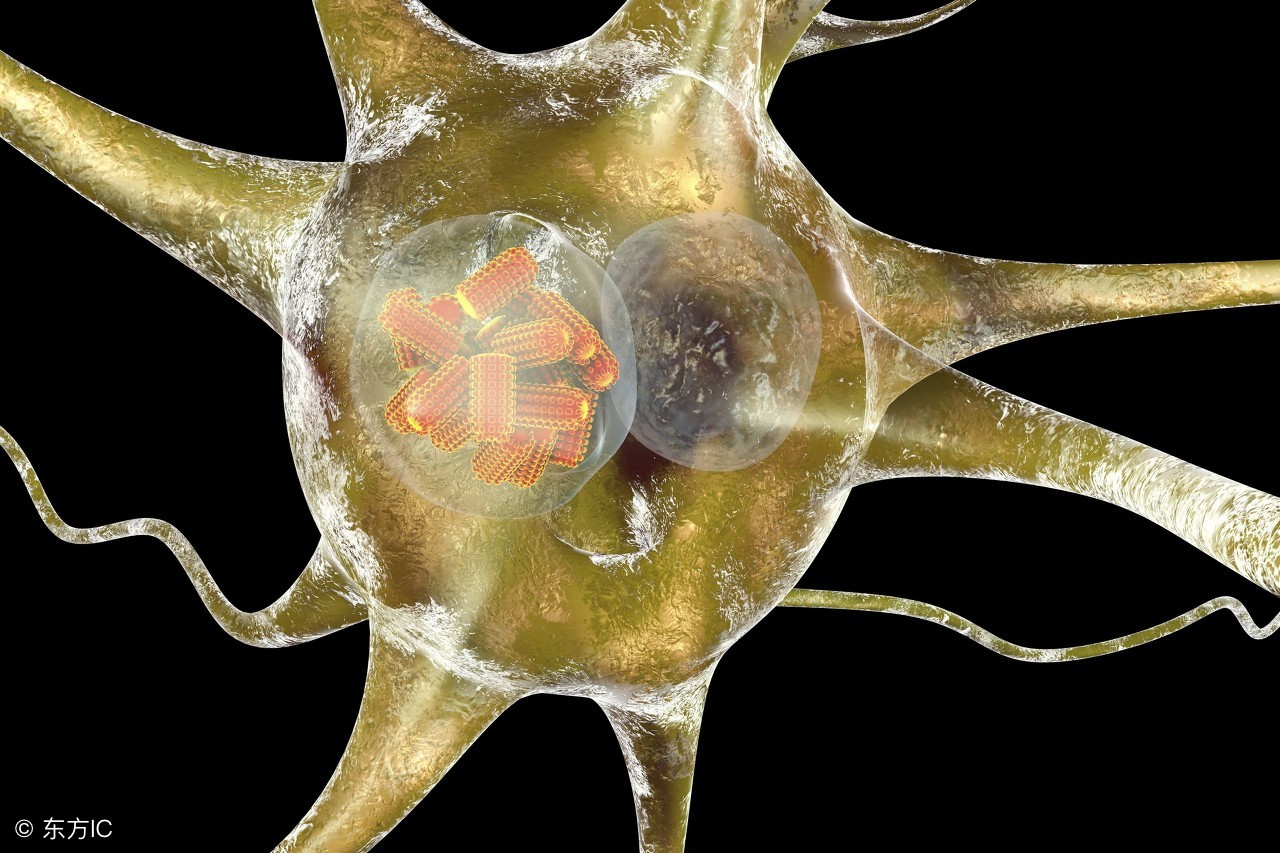 狂犬病致死率100%症状,为什么狂犬病的致死率是100%