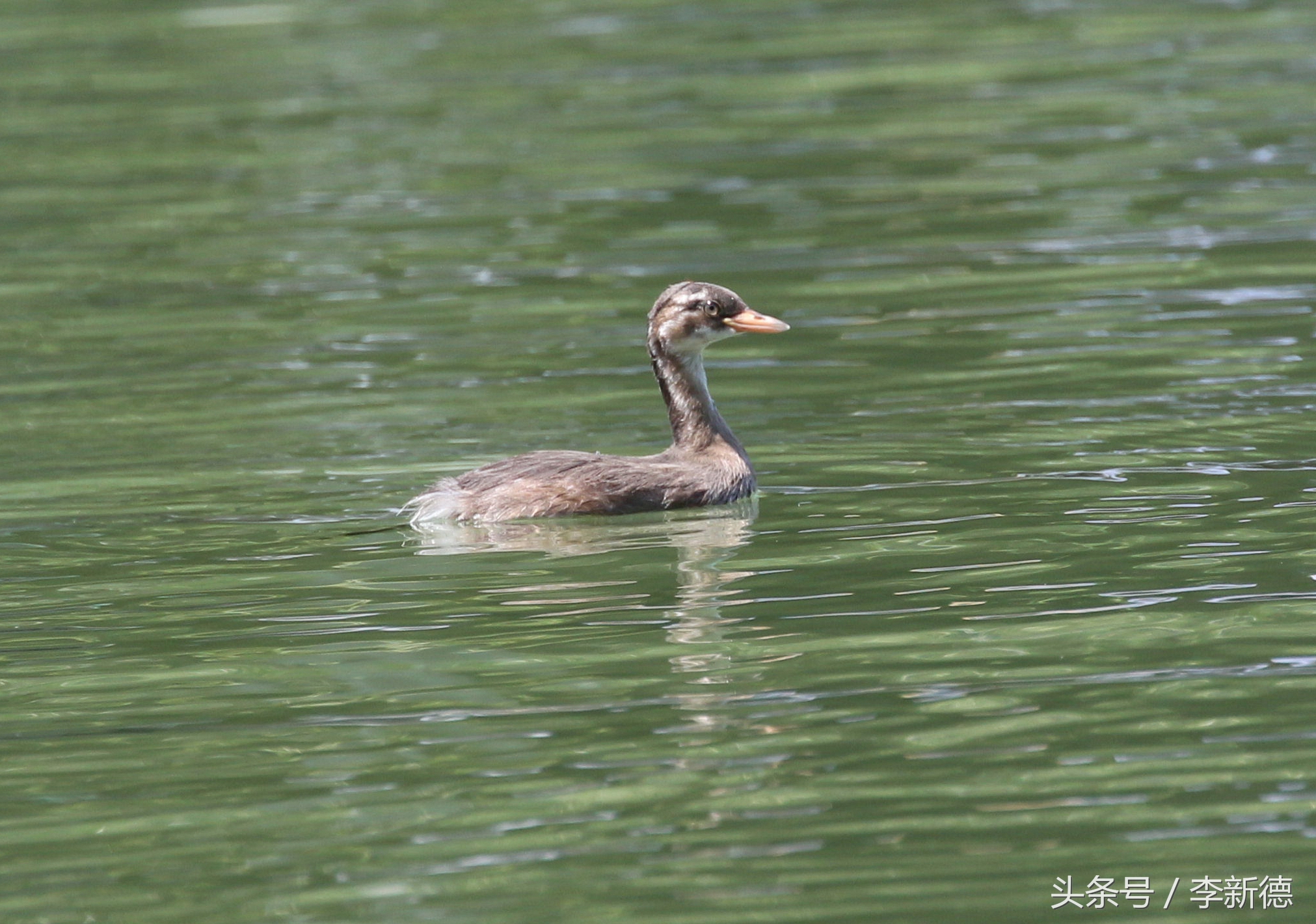 佳能5d3配24105镜头拍人像,佳能5d3501.8镜头拍合照