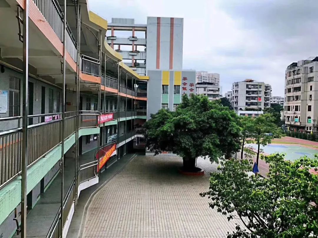 珍藏了近十年的老照片,珍藏多年的旧照片