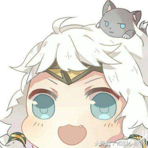 王者荣耀里的宠物英雄有哪些,盘点王者荣耀有宠物的英雄