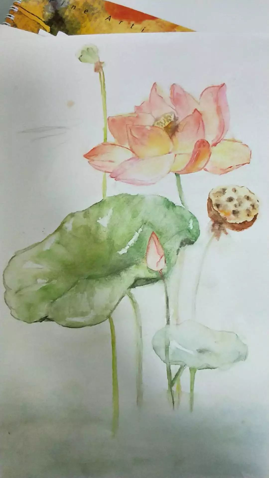 绘画是可以陪伴一生的兴趣,绘画让人心神安宁找寻自我