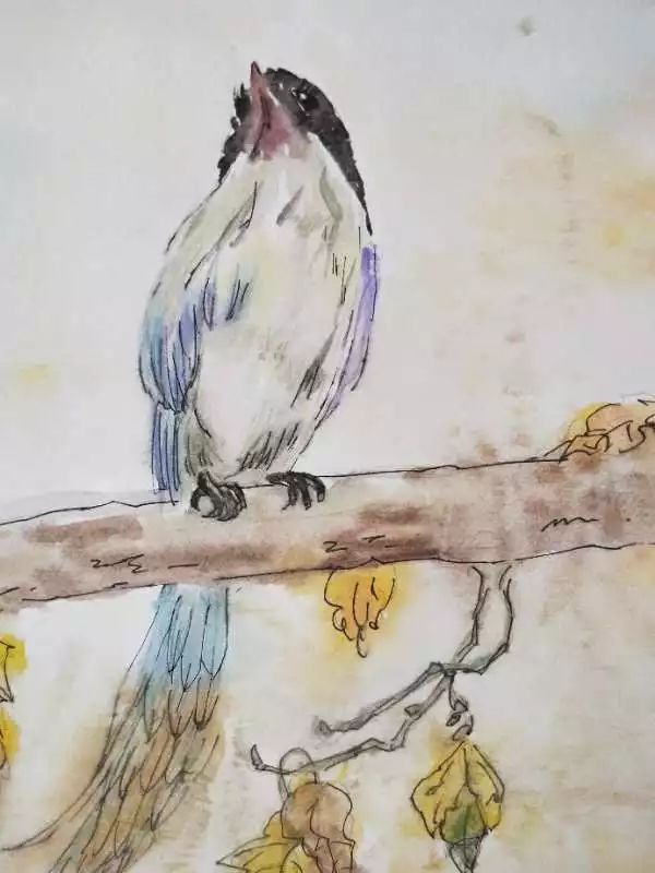 绘画是可以陪伴一生的兴趣,绘画让人心神安宁找寻自我