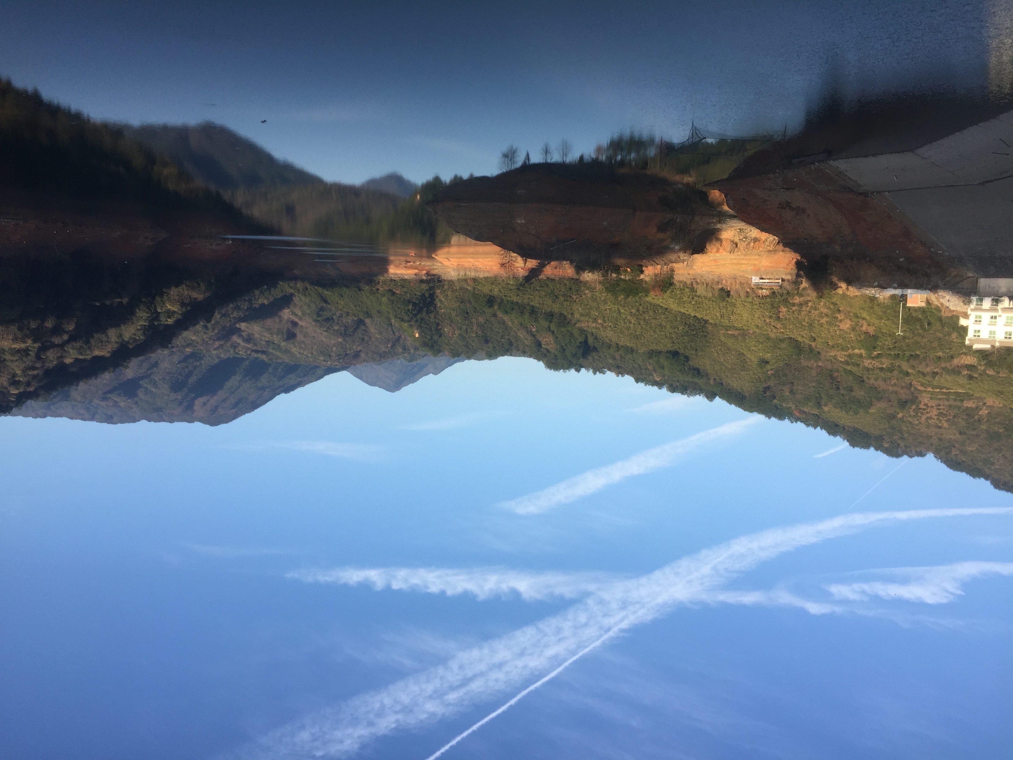 婺源绿茶手工茶,婺源绿茶品种