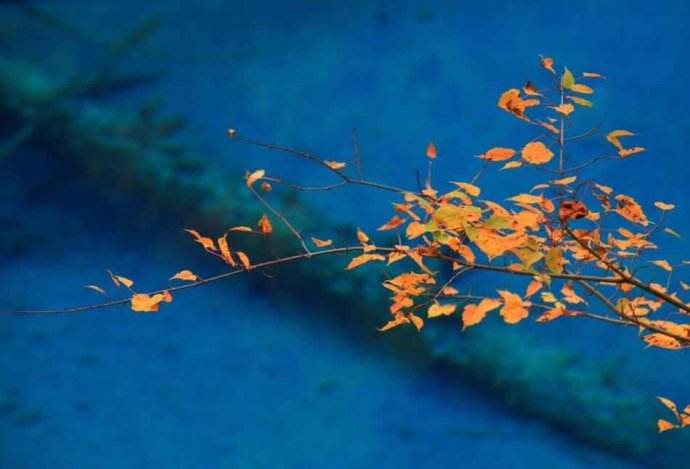 道德经的核心智慧不争及知足,道德经100句经典解释