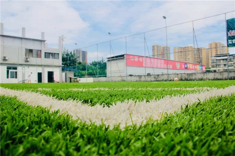 魏群姚夏马德里,魏群姚夏