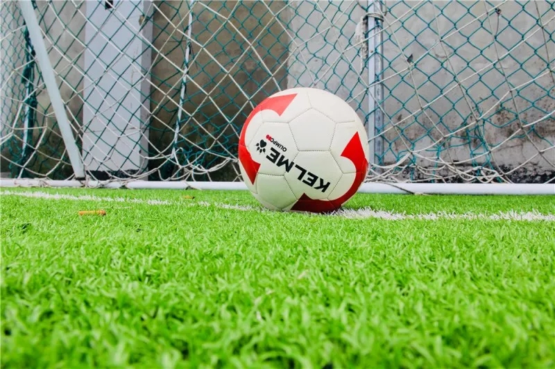 魏群姚夏马德里,魏群姚夏