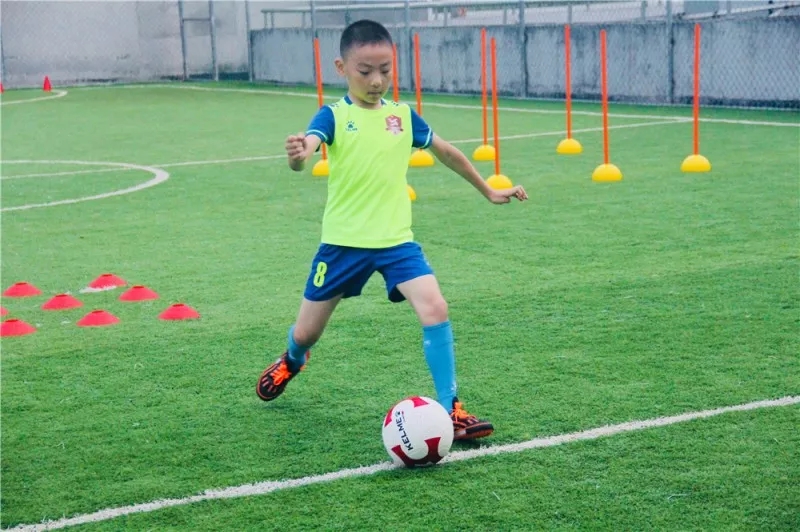 魏群姚夏马德里,魏群姚夏