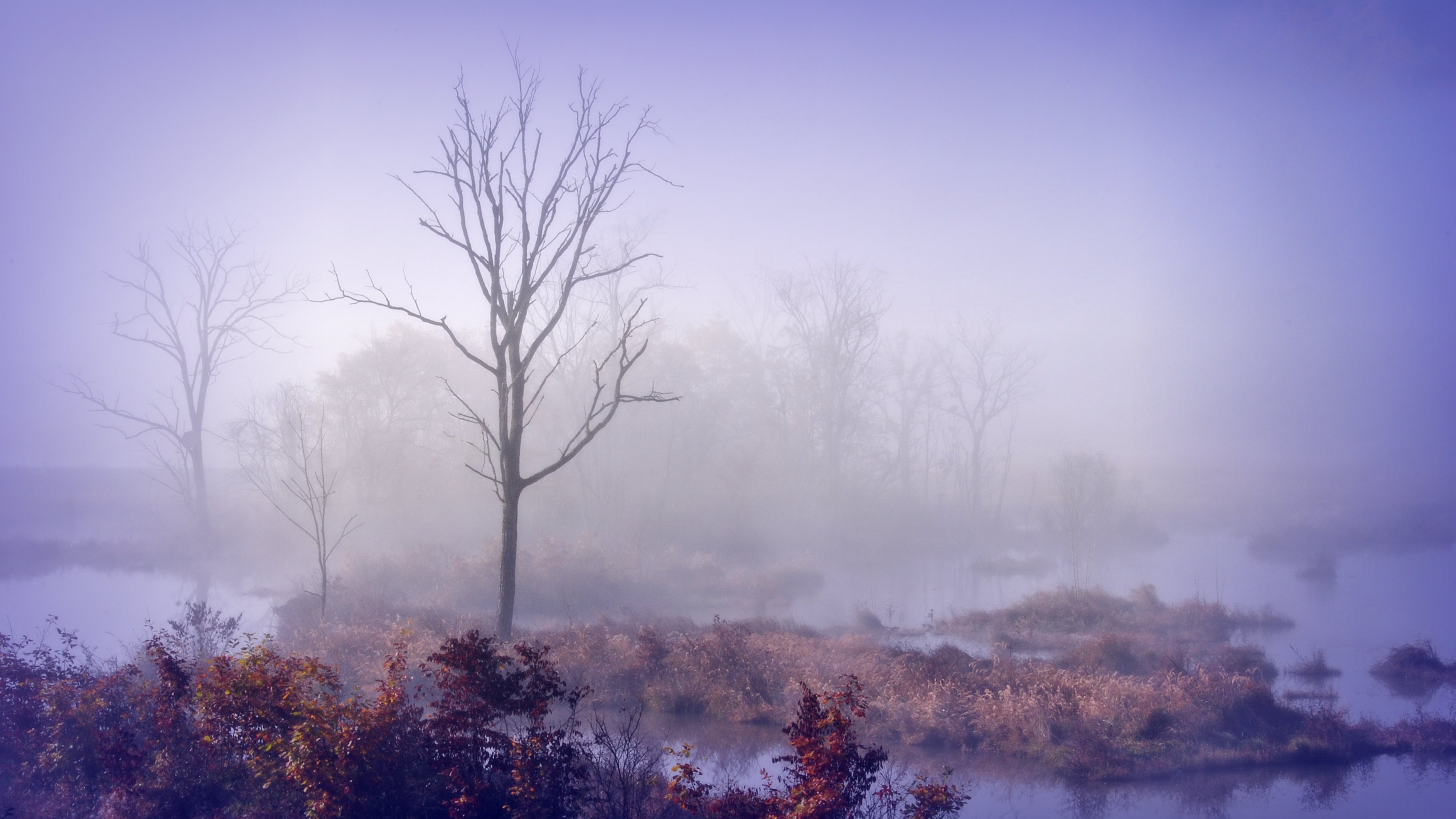 武汉周边避暑景点推荐,武汉夏天避暑旅游攻略