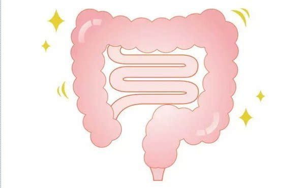 孕妈妈肠道菌群失衡会导致湿疹吗,母亲孕期饮食或影响母婴肠道菌群