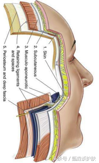 如何告别大小脸,大方脸改善小v脸