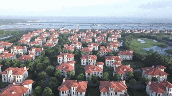 海边学区房,市中心高品质学区房