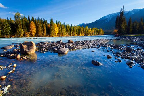 关于环境文化——一位山东应届考生自主招生的个人介绍信