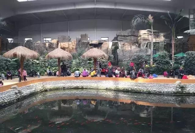 你还在用智能温室种菜,他们却用它搞起了亲子乐园,而且全年无淡