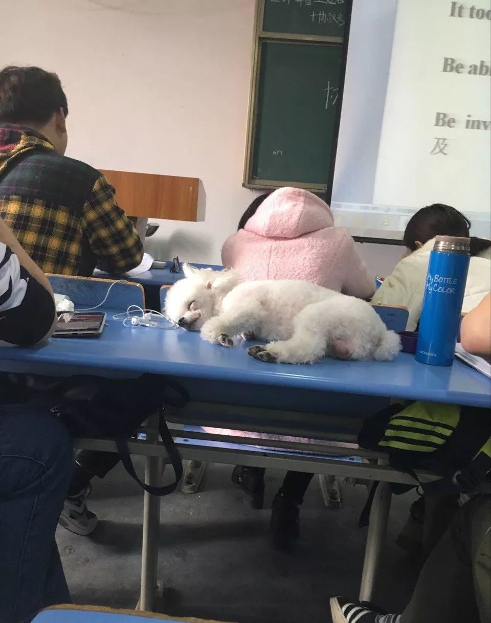 室友糗事,盘点那些搞室友的搞笑日常