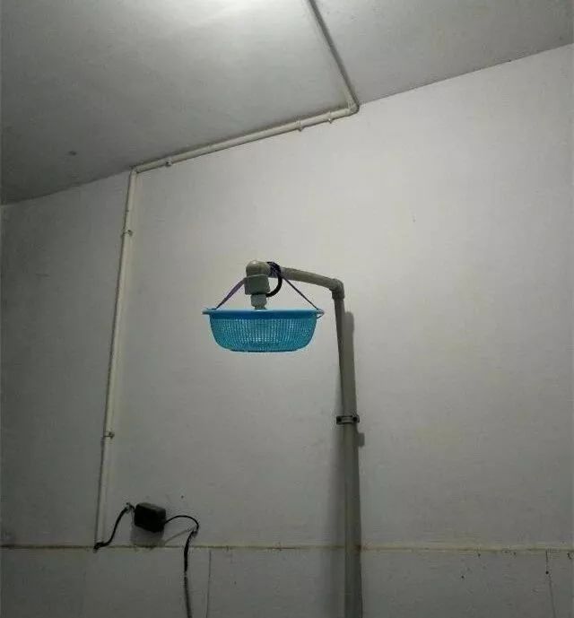 室友糗事,盘点那些搞室友的搞笑日常