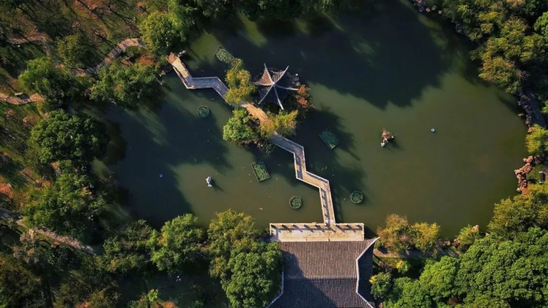 获网友无数称赞,却出自程序员之手!这间渔村民宿,颠覆你印象中航天科研工作者!