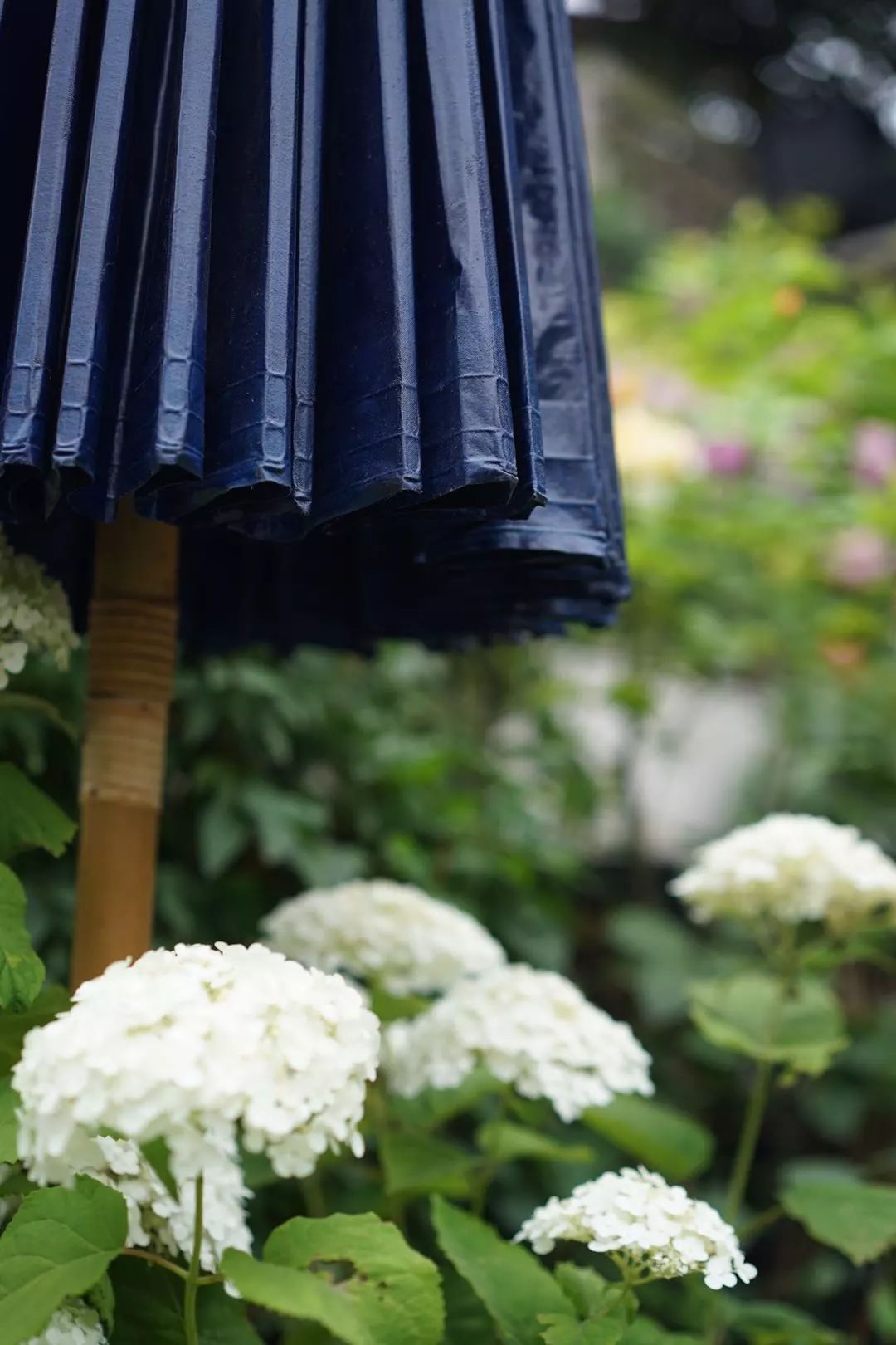 39岁，她不安分得很漂亮天台折腾两年，随后发出的照片，惊艳了所有人