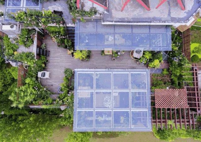 39岁，她不安分得很漂亮天台折腾两年，随后发出的照片，惊艳了所有人