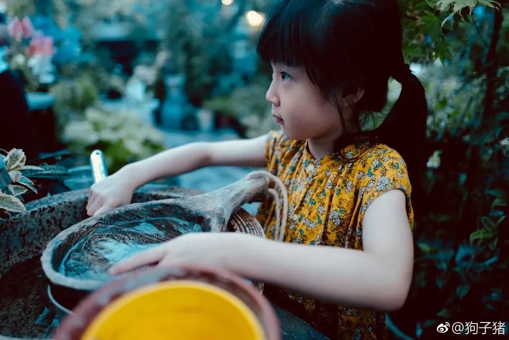 39岁，她不安分得很漂亮天台折腾两年，随后发出的照片，惊艳了所有人