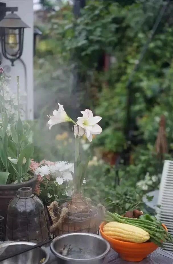 39岁，她不安分得很漂亮天台折腾两年，随后发出的照片，惊艳了所有人