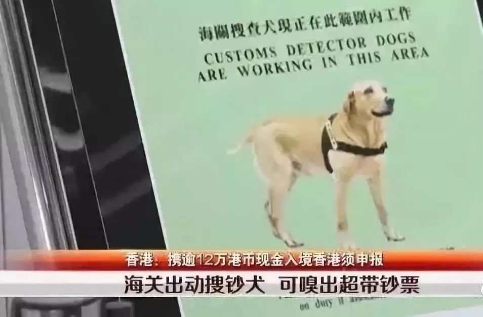 去香港什么情况下会被罚款,速看香港入境