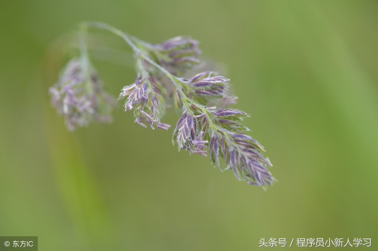 创建sqlserv数据库,sql创建完数据库怎么分离