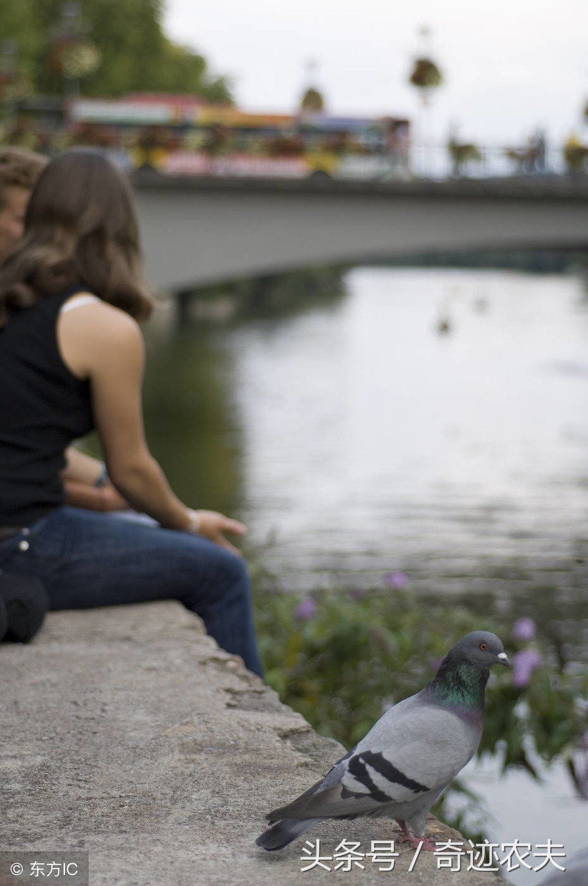 左脑疼痛且左肢体酸痛,左脑神经痛