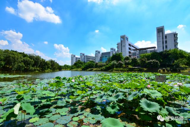 粤高校一二本合并投档线出炉,广东二本高校投档线排名