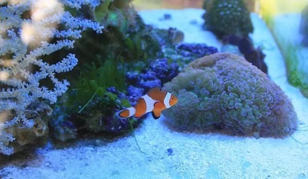 新人下海血泪史！看完别笑！都陪我哭！