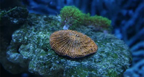 新人下海血泪史！看完别笑！都陪我哭！