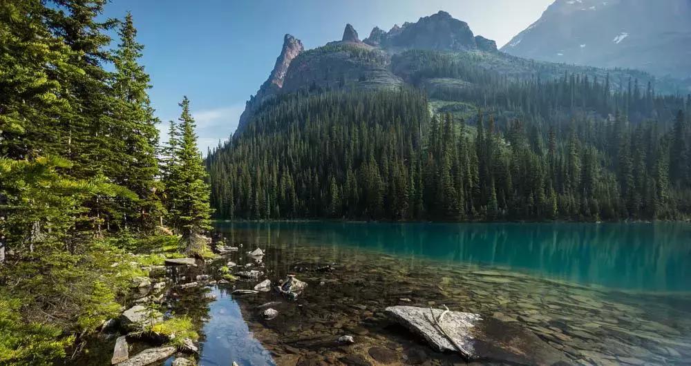 温哥华一年四季的气温,温哥华的天气真好