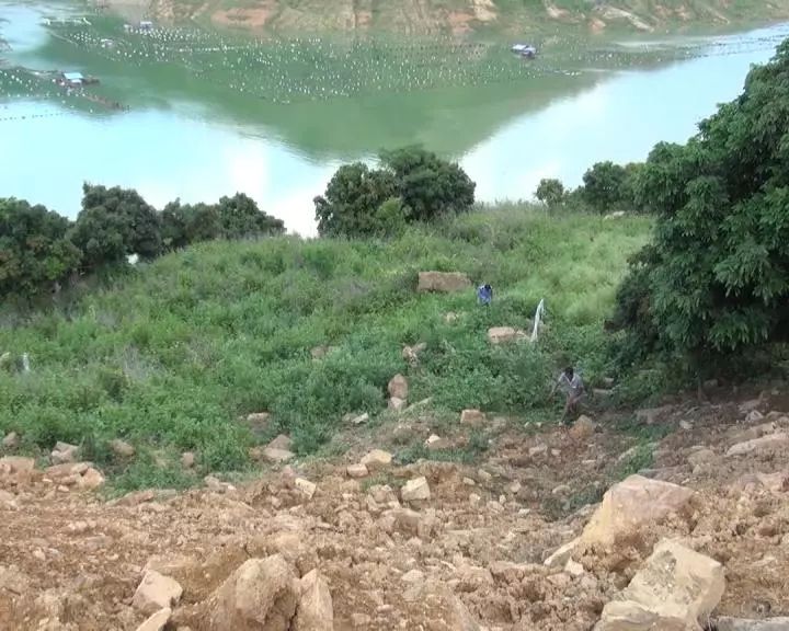 祖坟被挖赔偿协商,修路把农村耕地毁坏了怎么赔偿