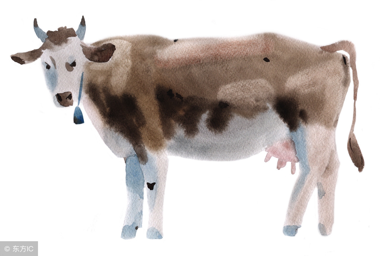 73年的牛暴富好运连连,73牛一生中较好的年份有哪些