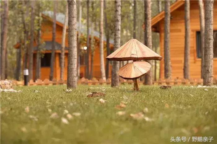 海景房烧烤民宿,烧烤露营温泉民宿