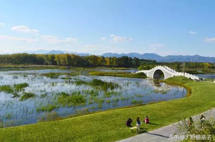 海景房烧烤民宿,烧烤露营温泉民宿