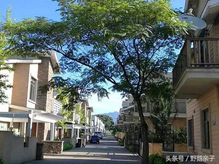 海景房烧烤民宿,烧烤露营温泉民宿