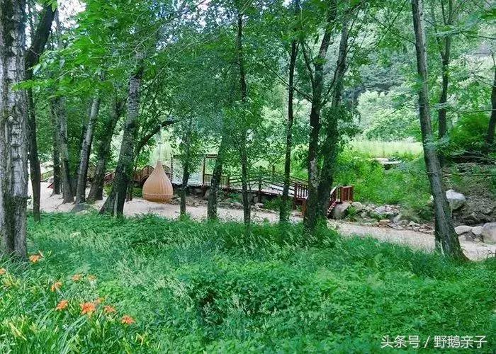 海景房烧烤民宿,烧烤露营温泉民宿