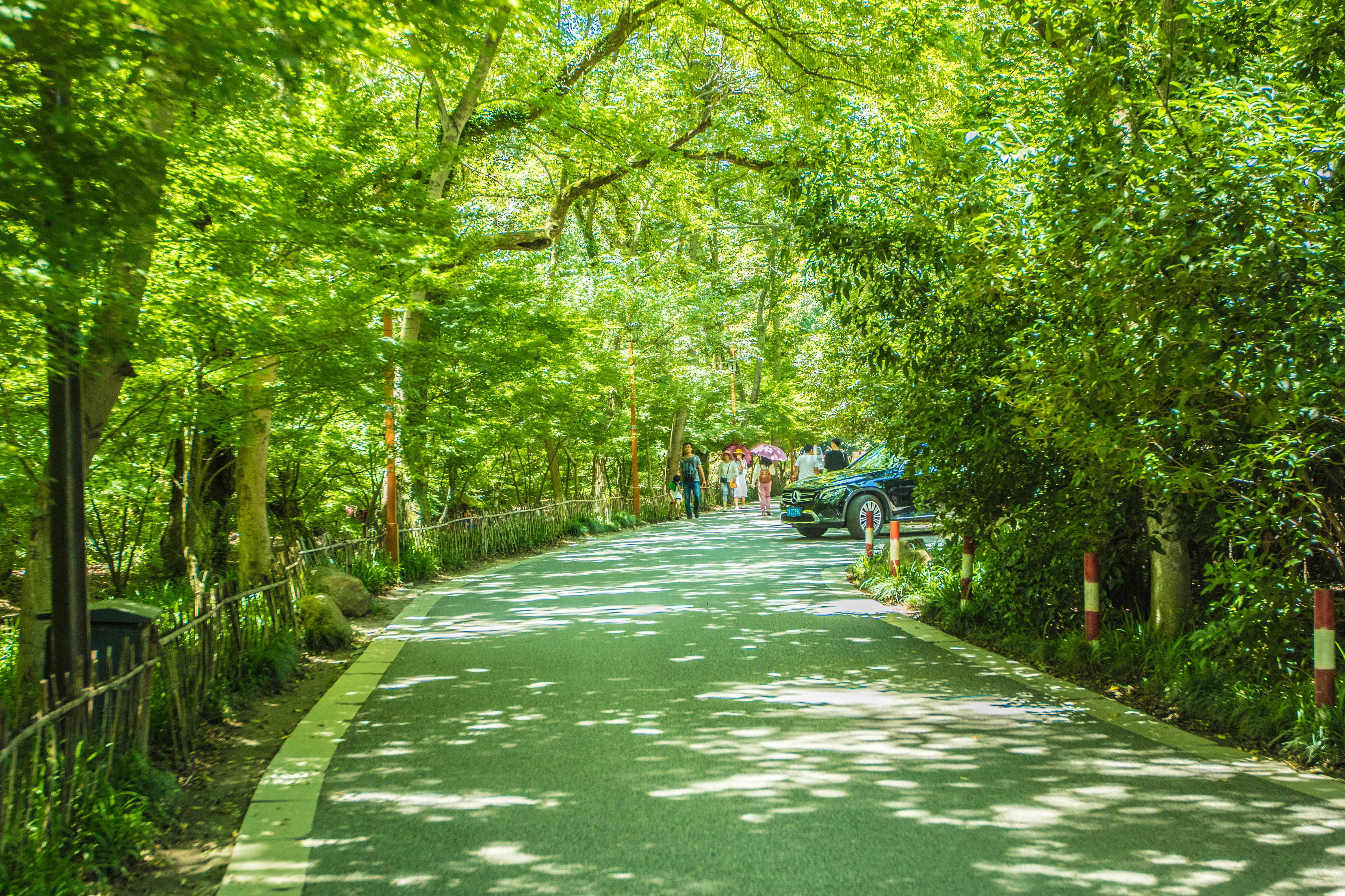 杭州的世外桃源在哪个区,杭州的世外桃源