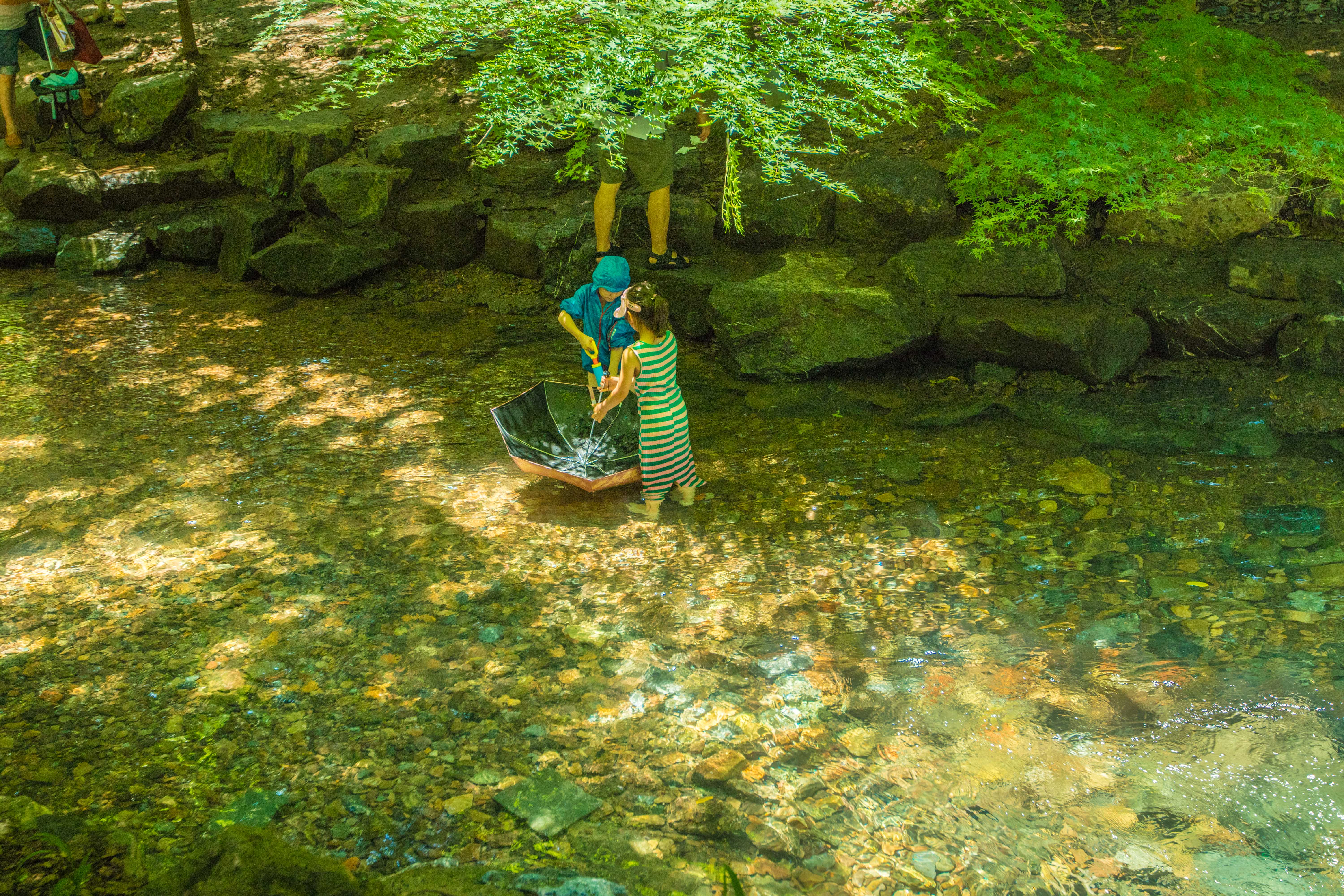杭州的世外桃源在哪个区,杭州的世外桃源
