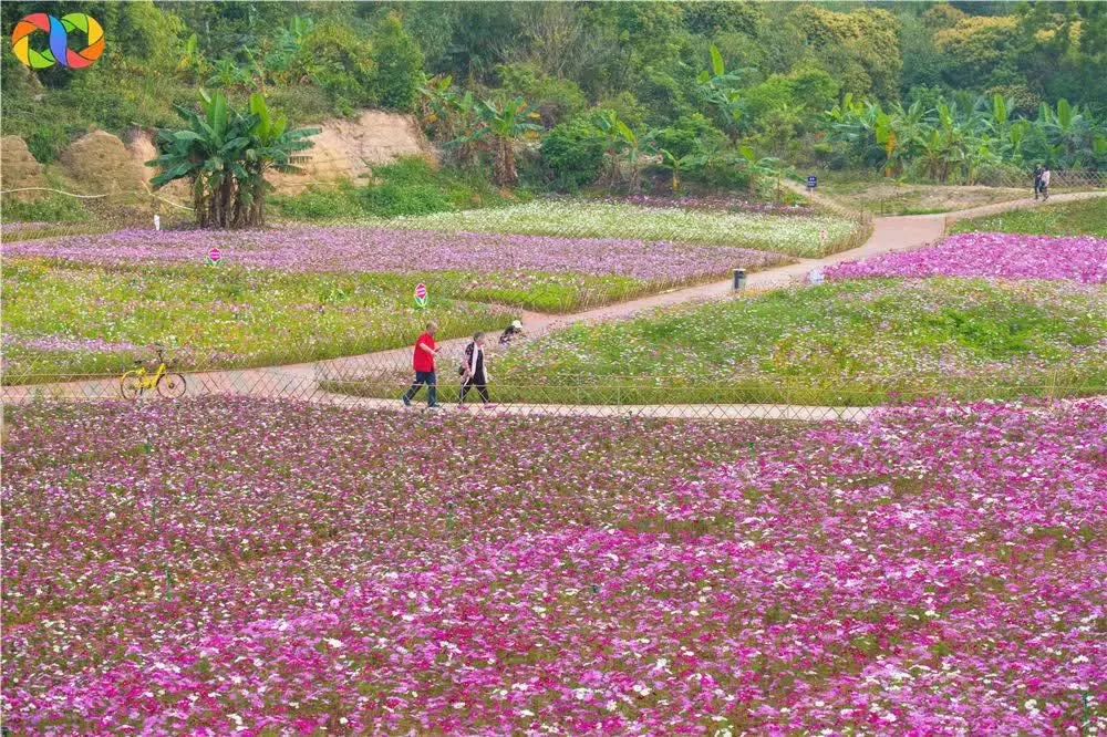 珠海一日游攻略低消费,南昌0元生活指南