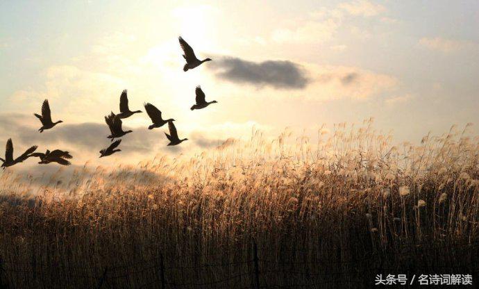 曹操步出夏门行原文和翻译,步出夏门行其二曹操原文