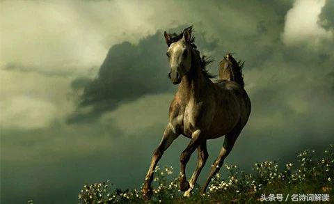 曹操步出夏门行原文和翻译,步出夏门行其二曹操原文