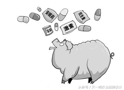 一头母猪原版,一头猪表白