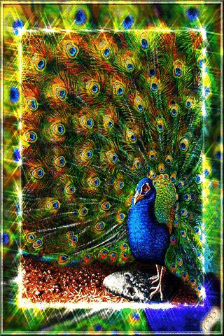 快乐的周一和朋友逛街,周一快乐幸福满满