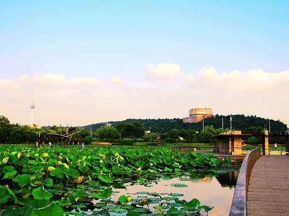 坐着地铁去旅行|武汉地铁4号线吃喝超全攻略!