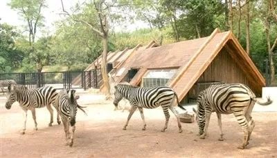 坐着地铁去旅行|武汉地铁4号线吃喝超全攻略!